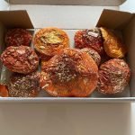 Fly Agaric Magic Mushroom