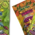 Oneup Mushroom Gummies
